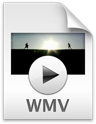 wmv icon