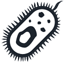 bacteria icon