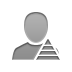 user,pyramid icon