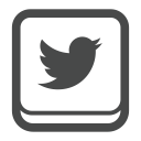 account, connect, profile, social, social media, twitter svg vector icon