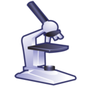 magnifying glass icon