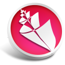 bridge icon