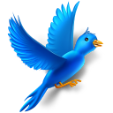 flying,bird,twitter,animal,social network,social,sn icon