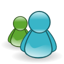 amsn,msn icon