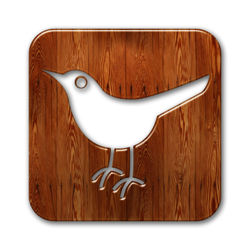 twitter,bird,square,animal,social network,social,sn icon