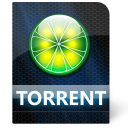 torrent icon