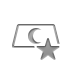 silver,star icon