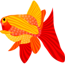 fish,animal icon