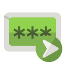 password,right icon
