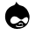 drupal icon