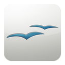office, oo icon