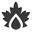 43 icon