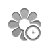 flower,clock icon