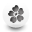 flower icon