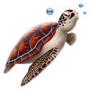 animal, turtle icon