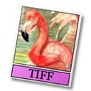 tiff icon