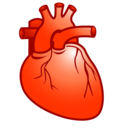 cardiology, heart icon