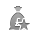 money,bag,pound,star icon