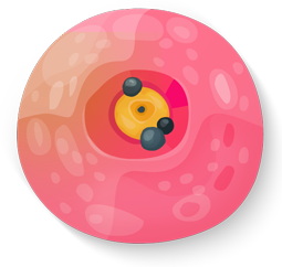 sushi icon