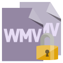 file,format,wmv,lock icon