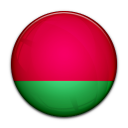 flag,belarus,country icon