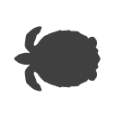 endangered, sea turtle, turtle svg vector icon