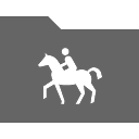 horse,rider icon