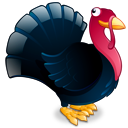 turkey icon