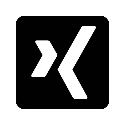 Xing Box svg vector icon