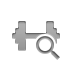 weight,zoom icon