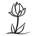 flower, growth, leaf, nature, petals, plant, tulip svg vector icon