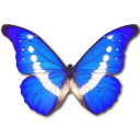 morphohelena icon
