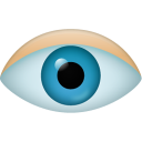 eye icon