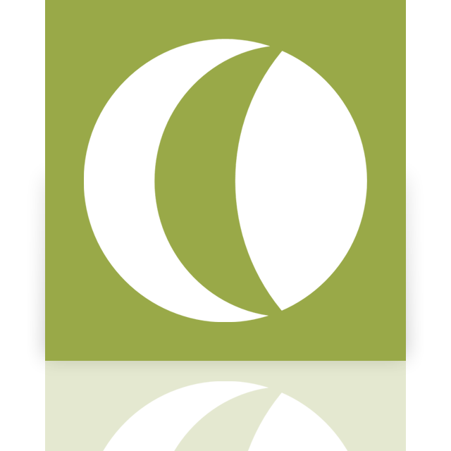 camtasia, mirror, studio icon