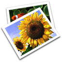 picture,photo,pic,image icon