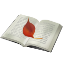 duqi 22 icon