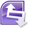 infopath icon