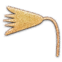 lotus,embossed icon