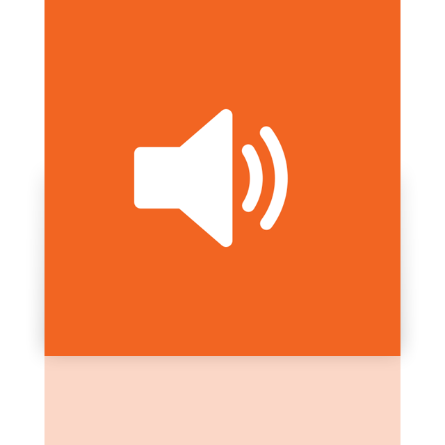 volume,mirror icon
