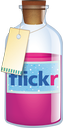 flickr icon