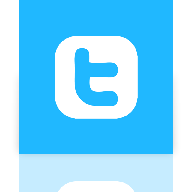 twitter,alt,mirror icon