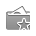 wallet,star icon