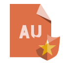 file,format,shield icon