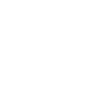 zoom,inv icon