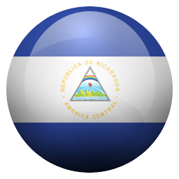 ni icon