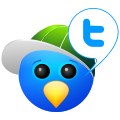 twitter,social network,social,sn icon