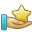 premium icon