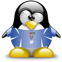 serbia,montenegro,penguin,animal icon