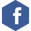 facebook icon