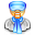 director icon